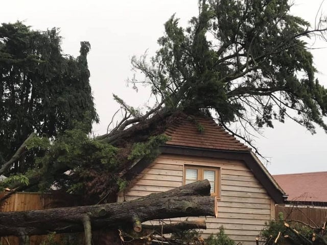 Trees fell onto a house near Billingshurst SUS-200216-162722001