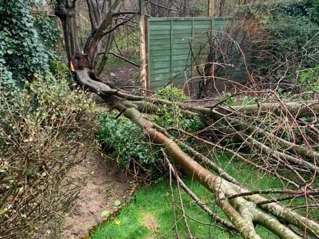 This garden near Greenway Academy, Horsham, had an unwelcome visitor SUS-200216-162803001