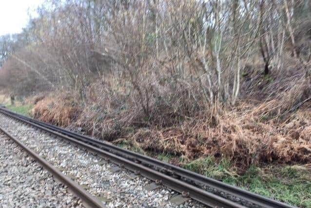 The landslip outside Holmwood Station. Photo by Network Rail Kent and Sussex