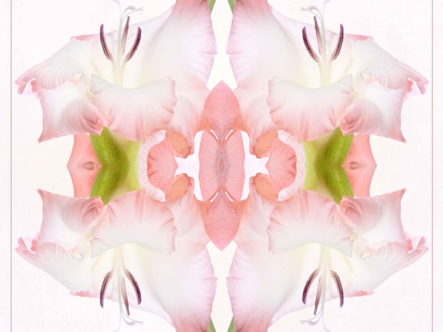 October – flower in a non traditional format: GladioliQuad by Liz Barber