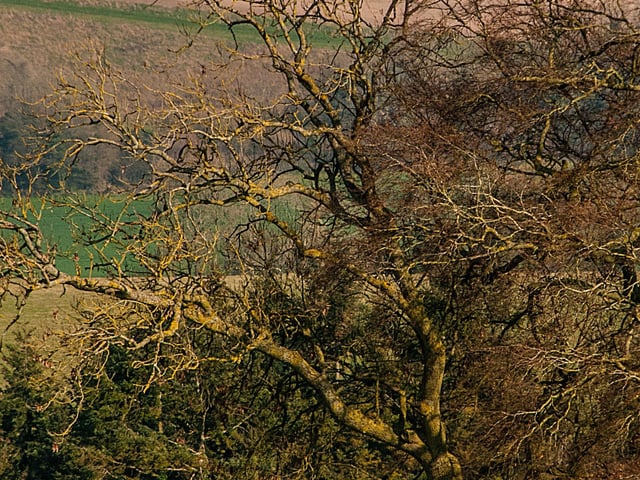March – landscape with a structure: Mill on the Hill by Norman Kirby