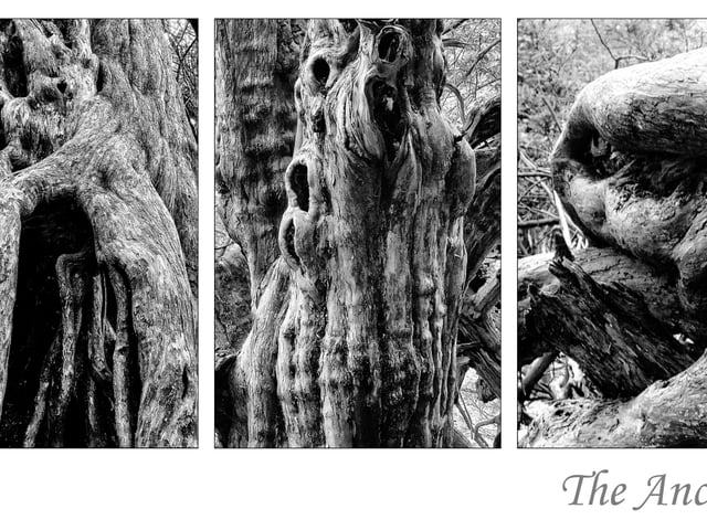 December – triptych: The Ancients by Dean Sephton