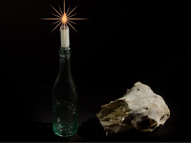 February – still life: Sheep’s Skull Bottle and Candle (after Picasso) by Janet Brown