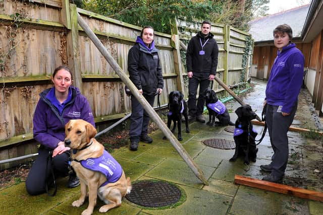 Some of the staff and dogs by the damaged fencing