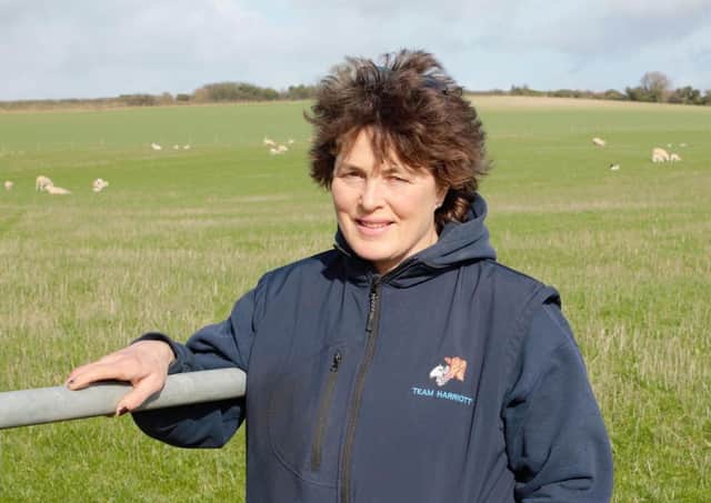 West Sussex NFU chairman Caroline Harriott runs a flock of 600 ewes and rears lambs near Arundel