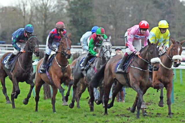 Action in the bumper, which rounded off NSH raceday at Fontwell / Picture: Malcolm Wells