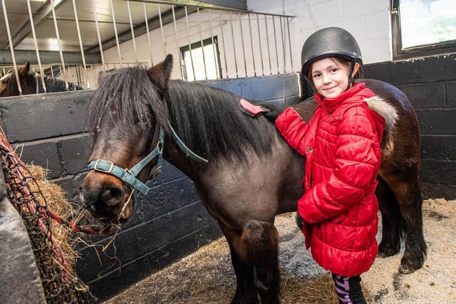 The Horses and Ponies Protection Association are running horse themed activities for all the family at Shores Hey Farm in Briercliffe, Burnley this
February half-term.

All week a free Horse Facts with Fergus Trail and a Horse Colour Match Challenge are available to complete when you book your visit at the Visit Us section of the HAPPA website www.happa.org.uk/visit-us

On February, Tuesday 15th, Wednesday 16th and Thursday 17th, pony grooming sessions will be held onsite 11am - 3pm. Children aged 4+ and adults will be invited to groom one of HAPPA’s gentle horses supervised by a member of staff. 
Fifteen minute slots are available for a £5 donation (cash payments only) and these will be on a first come first served basis. Children under seven must be supervised by a parent or guardian while grooming.

The team is also holding 'Own a Pony Days' and 'Beginner's Guide to
Horse and Pony Care' courses throughout the week. So if you, or anyone you know, is a keen equestrian here’s a chance to expand knowledge and 