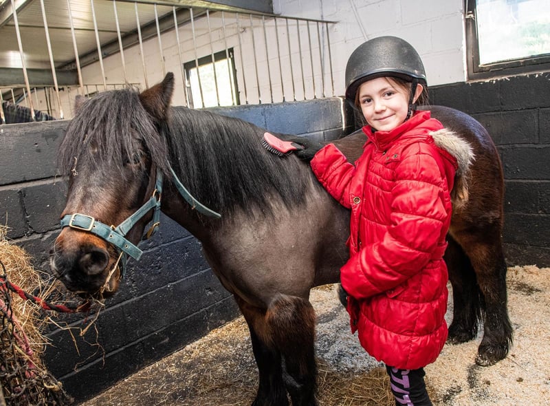 The Horses and Ponies Protection Association are running horse themed activities for all the family at Shores Hey Farm in Briercliffe, Burnley this
February half-term.

All week a free Horse Facts with Fergus Trail and a Horse Colour Match Challenge are available to complete when you book your visit at the Visit Us section of the HAPPA website www.happa.org.uk/visit-us

On February, Tuesday 15th, Wednesday 16th and Thursday 17th, pony grooming sessions will be held onsite 11am - 3pm. Children aged 4+ and adults will be invited to groom one of HAPPA’s gentle horses supervised by a member of staff. 
Fifteen minute slots are available for a £5 donation (cash payments only) and these will be on a first come first served basis. Children under seven must be supervised by a parent or guardian while grooming.

The team is also holding 'Own a Pony Days' and 'Beginner's Guide to
Horse and Pony Care' courses throughout the week. So if you, or anyone you know, is a keen equestrian here’s a chance to expand knowledge and 