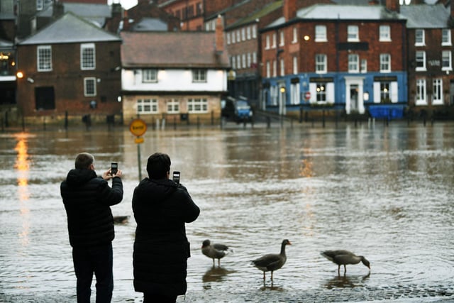 Two people photograph the swollen River Ouse as ducks enjoy the water nearby