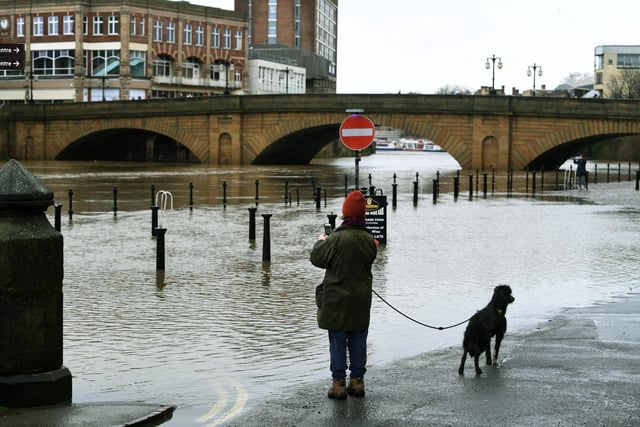 A dog walker stops to take in the scene of the flooding
