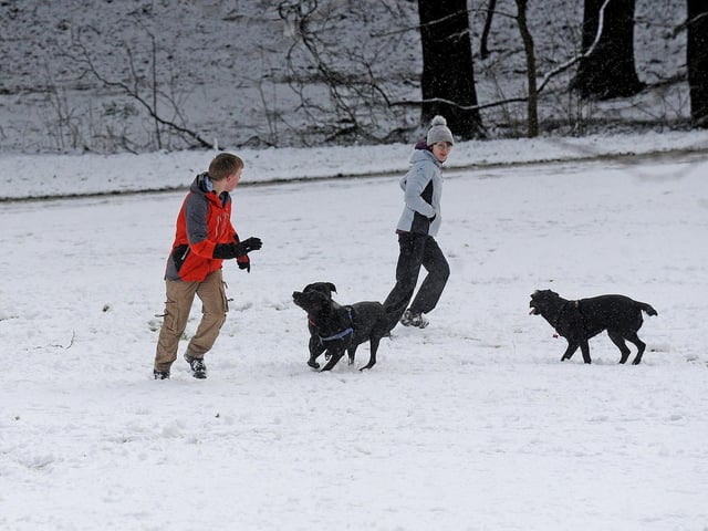 Others took the opportunity to take the dogs out for a run.
