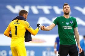 Shane Duffy could well be called upon in place of injured Adam Webster
