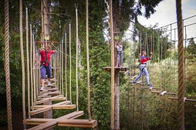 Go Ape is reopening on Saturday