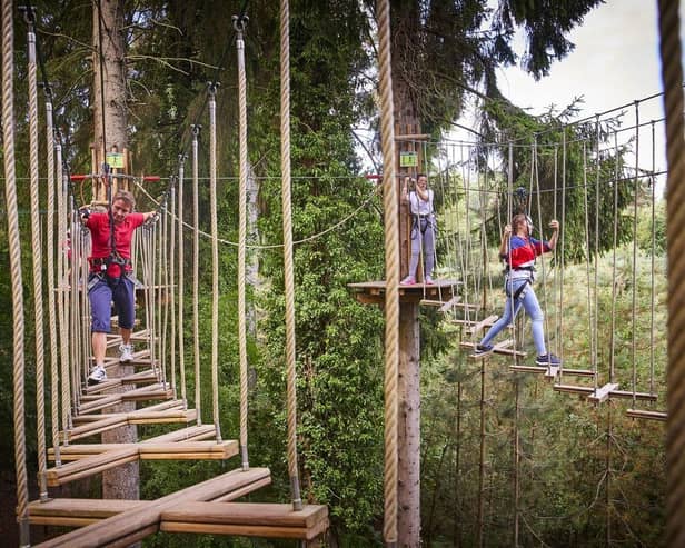 Go Ape is reopening on Saturday