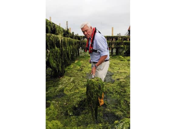 John Davis, hands-on harbour master, clearing weed at Dell Quay. Photo: Chichester Observer
