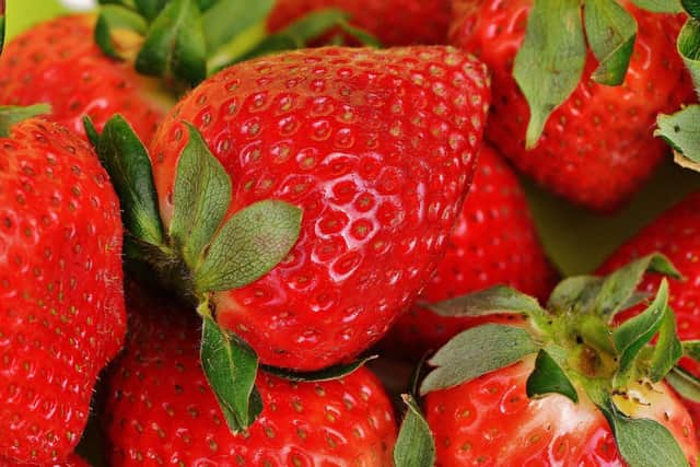 Strawberries SUS-200307-153208001