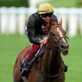 Stradivarius is due to go for a remarkable fourth straight Goodwood Cup win / Picture: Getty