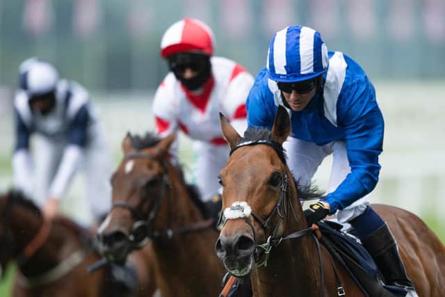 Battaash (blue and white silks) is set to try to win a fourth straight King George Stakes at Goodwood / Picture: Getty