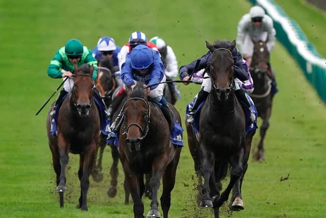 Pinatubo (centre) is a strong contender for the Sussex Stakes / Picture: Getty