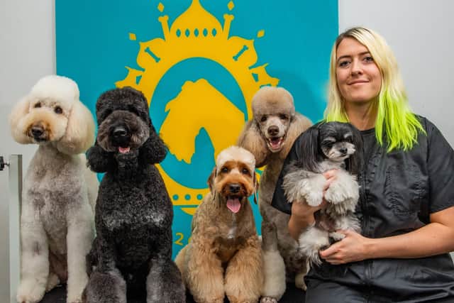 L-r  Krystle the Labradoodle, Doris The Labradoodle,  Sapper the Cockerpoo, Coco the  poodle  and groomer Hellen Kirby with Oska the Maltese cross chihuauahua at Bone Idol dog grooming in Brighton, East Sussex. See SWNS copy SWCAdogs: A wacky UK dog groomer is now offering 'Asian fusion' style haircuts for pampered pooches - after spending a week in Malaysia learning to cut angel wings and hearts into fur. Helen Kirby, who works at Bone Idol grooming salon in Brighton, East Sussex, was inspired after seeing Instagram posts of 'teddy bear dogs' rocking out-of-this-world hair styles. Helen was keen to learn the art for herself - and packed up her bags for a week to jet over 6,500 miles to Kuala Lumpur to study an intensive course in Asian fusion dog grooming. SUS-200807-141732001