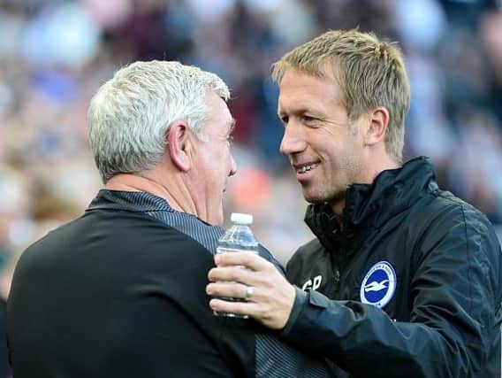 Steve Bruce and Graham Potter at the 0-0 draw at St James' Park earlier this season