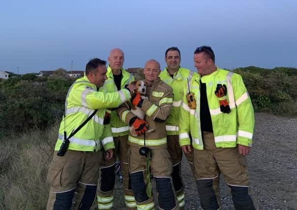 Firefighters with Max the Jack Russell after his rescue