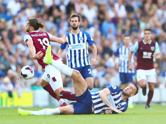 Brighton drew 1-1 with Burnley at the Amex Stadium earlier this season