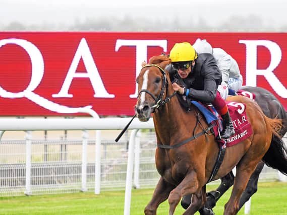 Stradivarius wins the 2019 Goodwood Cup with Frankie Dettori on board - can he do it again this year? Picture: Malcolm Wells