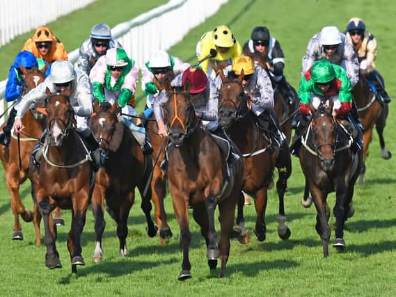 Runners will be tackling the undulating Goodwood course from Tuesday through to Saturday / Picture: Malcolm Wells