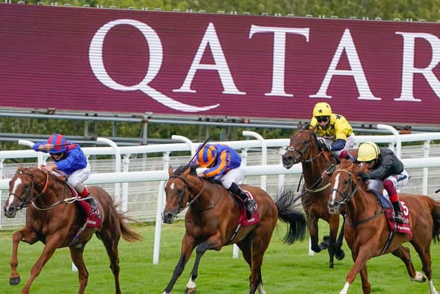 Stradivarius leaves it late - but gets it done / Picture: Alan Crowhurst for Getty