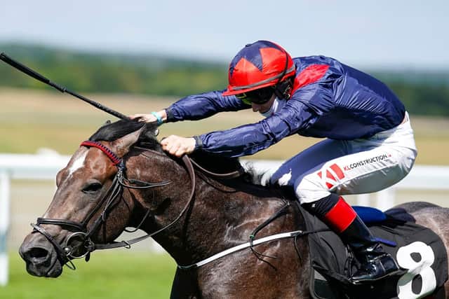 Steel Bull wins the Molecomb / Picture: Alan Crowhurst, Getty