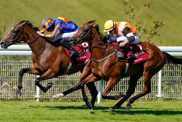 Fancy Blue and Ryan Moore (blue and orange silks) triumph in the Nassau / Picture: Alan Crohurst, Getty