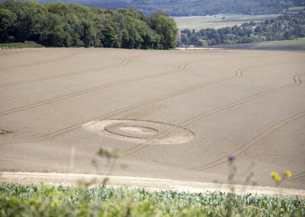 The crop circle at Bury Hill
