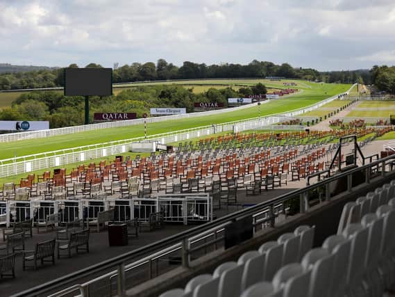 A stunning view - but no-one there to enjoy it: the scene at Goodwood after the PM axed their plans to allow 5,000 members and guests into the final day of Glorious / Picture: Sam Stephenson