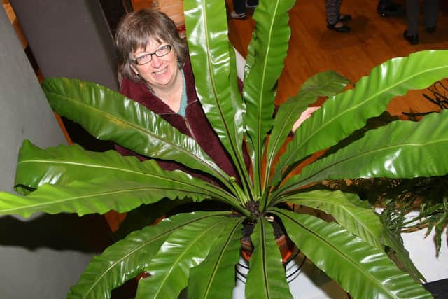 Helen Swyer with her prize-winning fern at the autumn show in 2018. Photo by Derek Martin DM18103732a