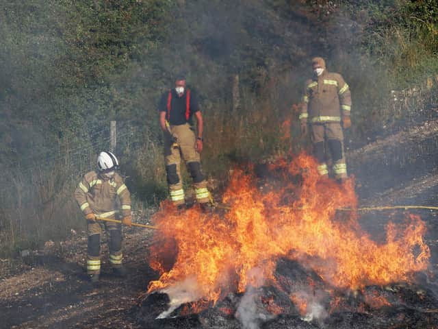 Crews from Littlehampton, Worthing,Shoreham and Horsham tackled the blaze. Photo: Eddie Mitchell
