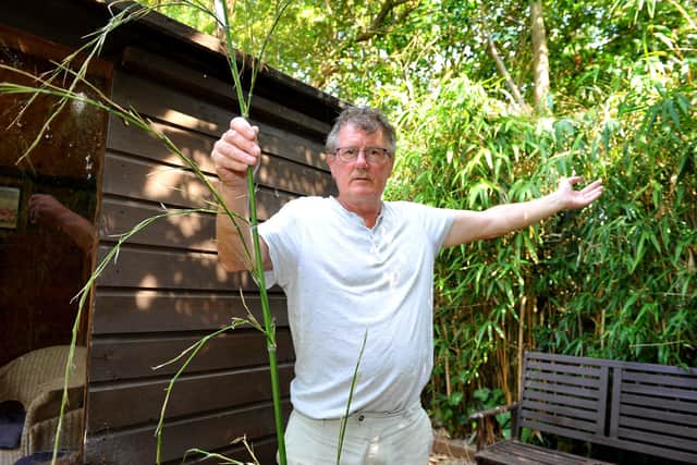 Clive Williams with the hacked plants in his Horsham garden. Photo:  Steve Robards SR2008102 SUS-201008-175820001