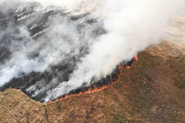 Horsham field fire near the A264 SUS-201108-182223001