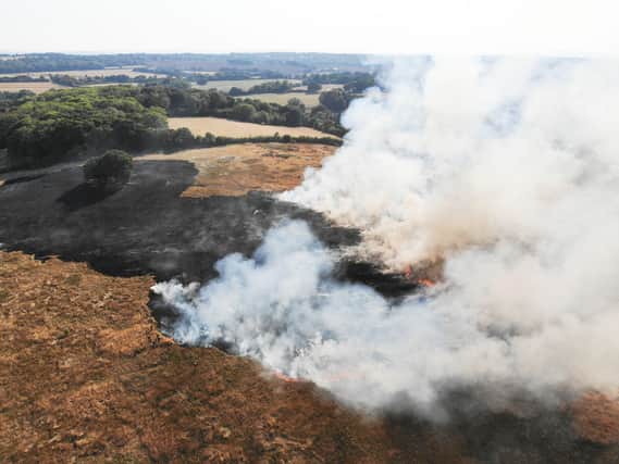 Horsham field fire near the A264 SUS-201108-182201001