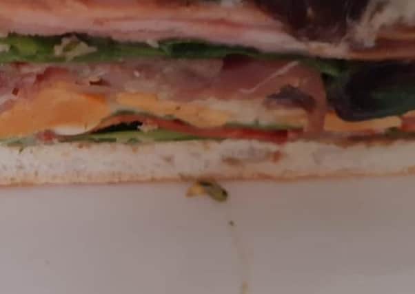 Richard Fulcher from Kingsway, Wick, found a maggot (centre, near bread) in his sandwhich from a bag of spinach from Morrisons in Wick