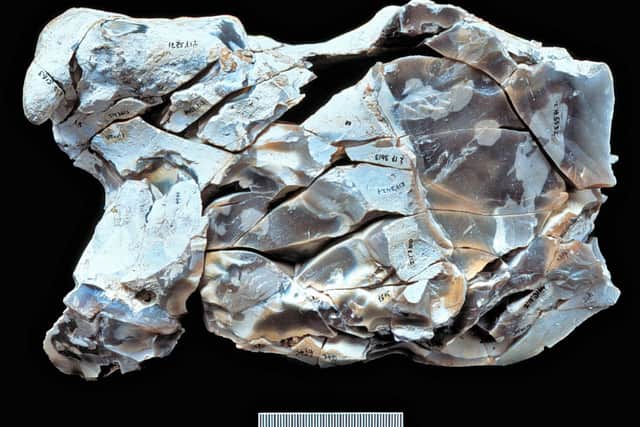6. The Football, a group of over 100 refitted flint shards left over from making a single tool. The biface tool itself was not recovered, it was removed from the site by the Boxgrove people. The shape of the tool was determined by casting the void left within the reconstructed waste material. (Copyright UCL Institute of Archaeology)