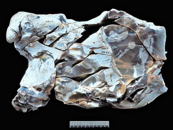 6. The Football, a group of over 100 refitted flint shards left over from making a single tool. The biface tool itself was not recovered, it was removed from the site by the Boxgrove people. The shape of the tool was determined by casting the void left within the reconstructed waste material. (Copyright UCL Institute of Archaeology)
