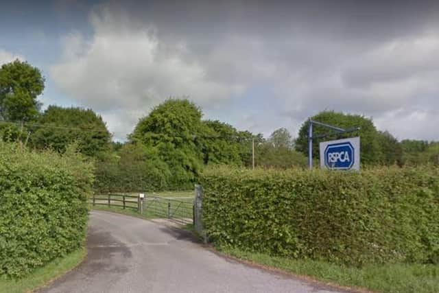 The RSPCA Centre in South Godstone is to close SUS-201208-155935001