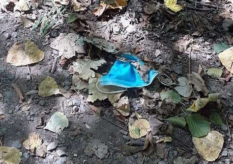 A reader spotted this discarded mask at Warnham Nature Reserve