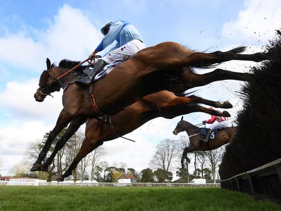 Over they go at Fontwell in March - and the racecourse has not seen action since / Picture: Mike Hewitt, Getty