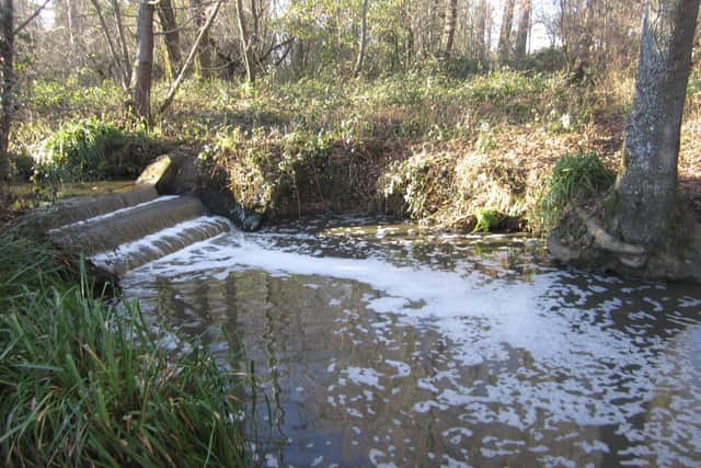 The stream was contaminated with slurry. Picture: Environment Agency