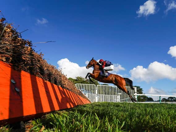 Over they go at Fontwell on Friday, from midday / Picture: Alan Crowhurst, Getty