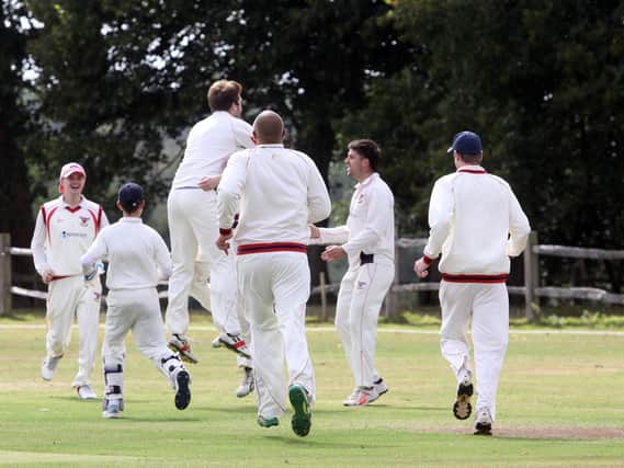 Mayfield celebrate a wicket at Buxted Park / Picture: Ron Hill