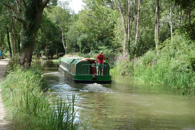 Boat trips on the Wey and Arun Canal