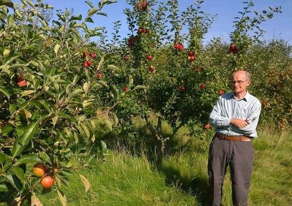 Greenhouse apple expert Peter May SUS-200709-143700001